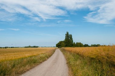 Tarih Pzt Adası Danimarka kırsal yolda