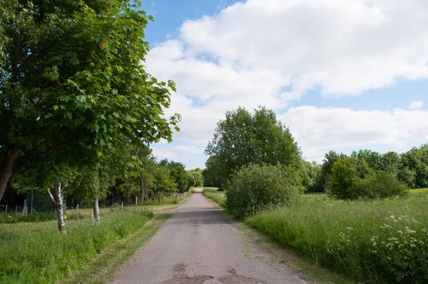 Deense platteland weg — Stockfoto