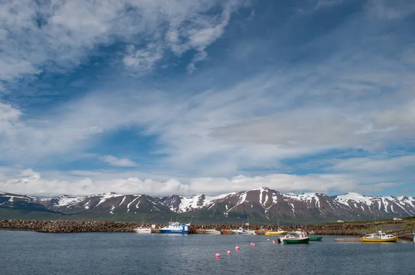 İzlanda'daki Hrisey liman tekneler