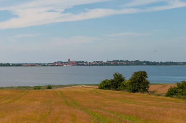 Ein Feld auf der Insel Mon in Dänemark — Stockfoto