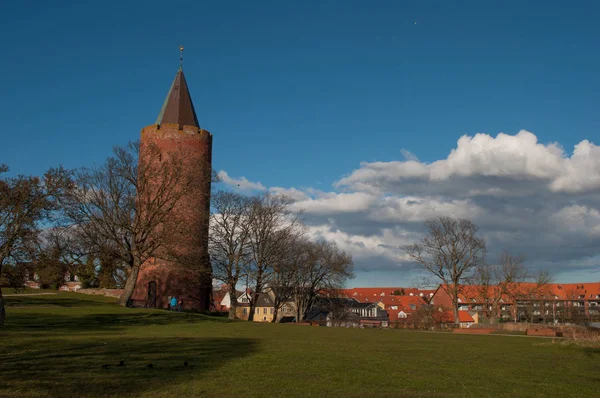 La torre del ganso en Vordingborg Dinamarca —  Fotos de Stock