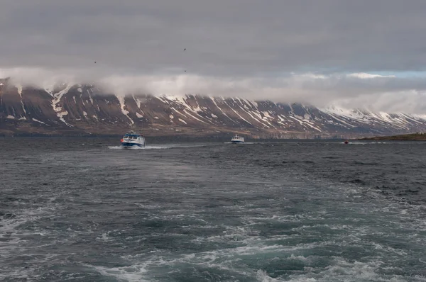 Barcos de pesca que navegam em Eyjafjordur Islândia — Fotografia de Stock