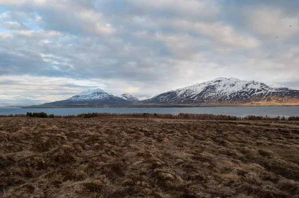アイスランドの島の Hrisey からの眺め — ストック写真