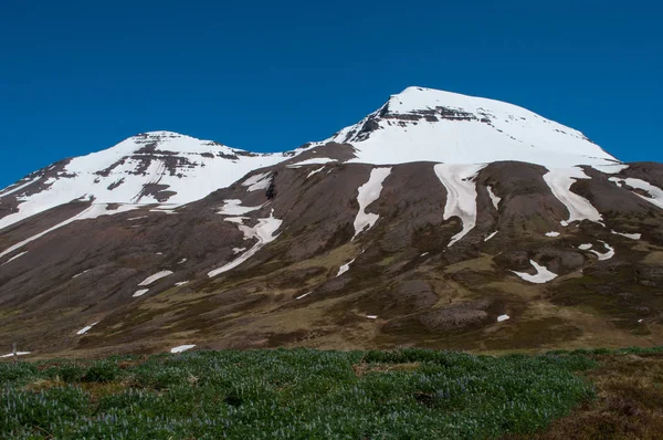 シグルフィヨルズゥルのアイスランドの山 — ストック写真