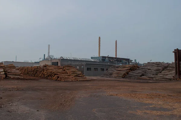 Prédios industriais e troncos de árvores no porto de Koege — Fotografia de Stock