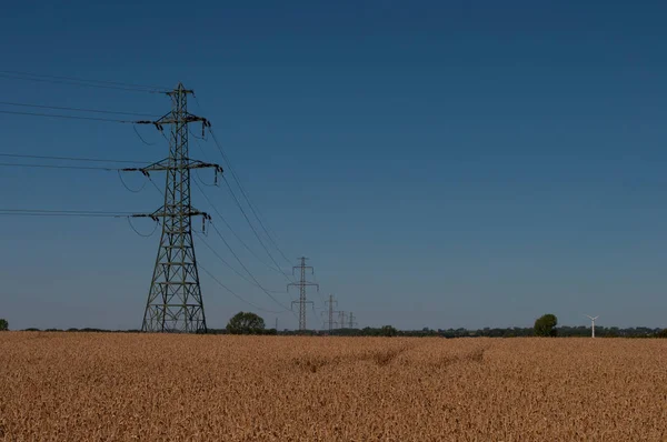 power lines cross a grain field in Denmark