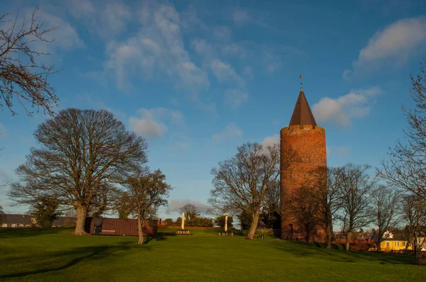 La torre dell'oca alle rovine del castello di Vordingborg in Danimarca — Foto Stock