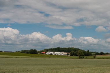 Danimarkalı grup ve alanları