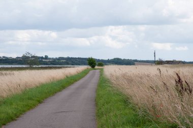 Danimarka Oroe ada küçük yolda