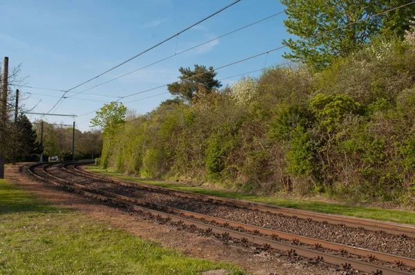 hafif raylı sistem parça Kuzey Almanya Rostock