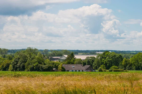 Danska gård och fält — Stockfoto