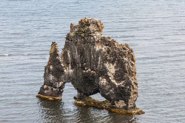 Hvitserkur, monolit w Północnej Islandii — Zdjęcie stockowe