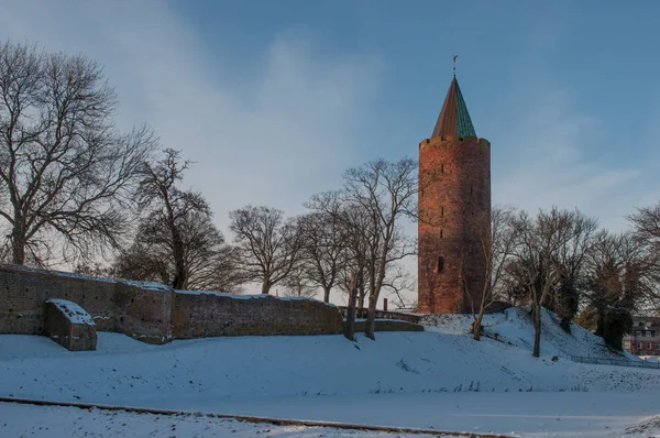 De toren gans op Vordingborg kasteel ruïnes in Denemarken — Stockfoto