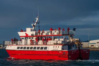 İzlanda balina tekne