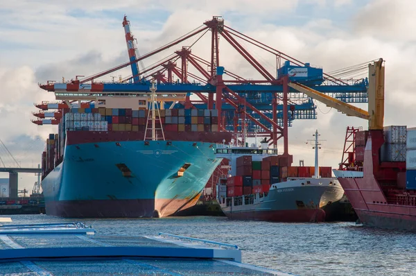 Container schepen Marit Maersk en Nor Feeder in de haven van Hamburg — Stockfoto
