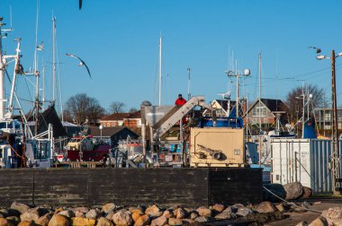 Ringa balığı tekne için bir kamyon kaldırılıyor