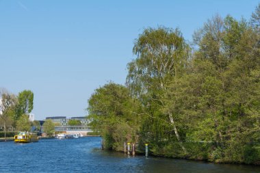 Ağaçlar Spree Nehri kıyısında