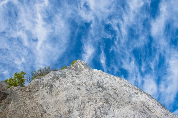 Moens klint mészkő sziklák — Stock Fotó