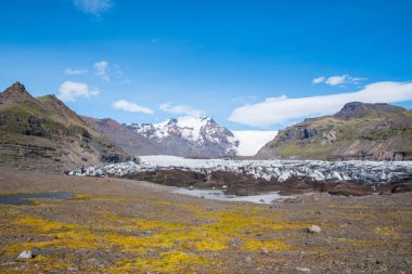 Güney İzlanda 'daki Svinafellsjokull buzulu