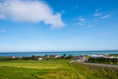 Güney İzlanda kırsalında Çiftlik Hali