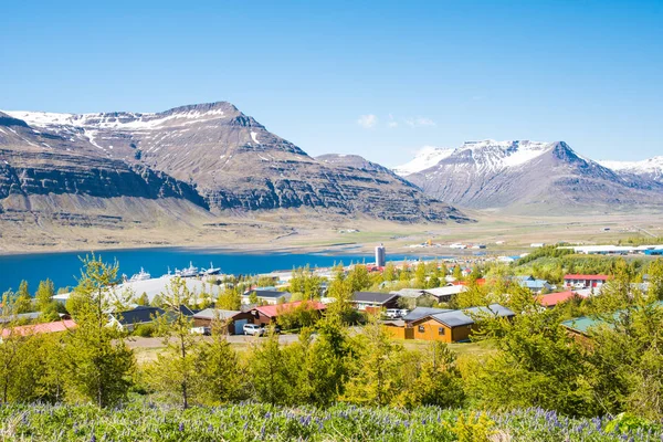 Town of Reydarfjordur in east Iceland — 图库照片