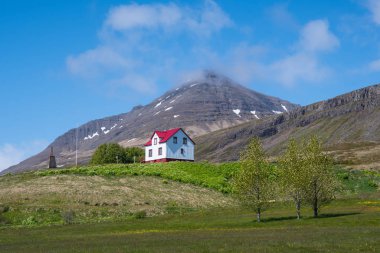 Buildings in town of Stodvarfjordur in east Iceland