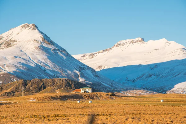 Hornafjordur-i gazdaság Dél-Izlandon — Stock Fotó
