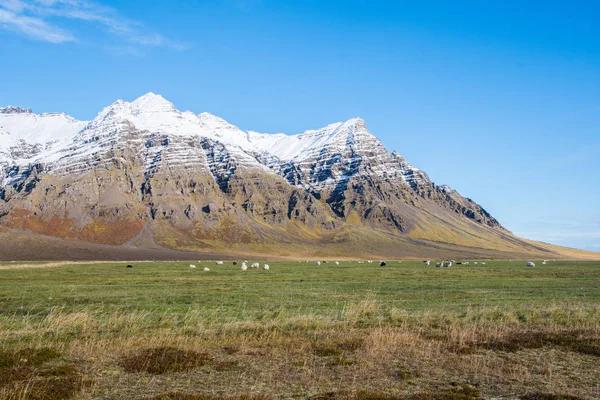 Kalfafellsdalur valley in South Iceland — Stockfoto