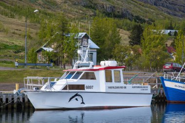 Seydisfjordur limanındaki yolcu gemisi doğu İzlanda 'da.