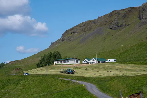Skaftarhreppur Island Juli 2019 Jordbruk Den Isländska Landsbygden — Stockfoto
