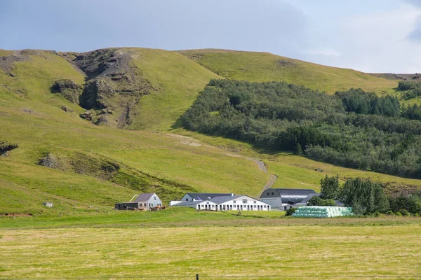 夏季冰岛农村的牧羊场 — 图库照片