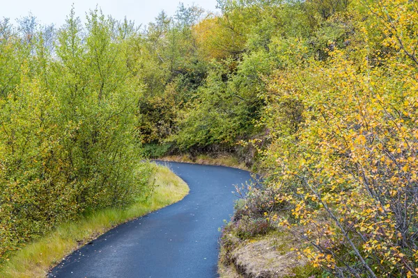 Gångväg Dimmuborgir Nära Myvatn Nordisland — Stockfoto