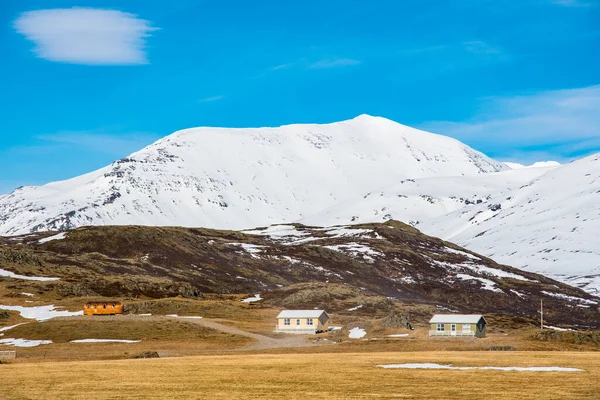 Casas Férias Campo Islandês Dia Primavera Ensolarado — Fotografia de Stock