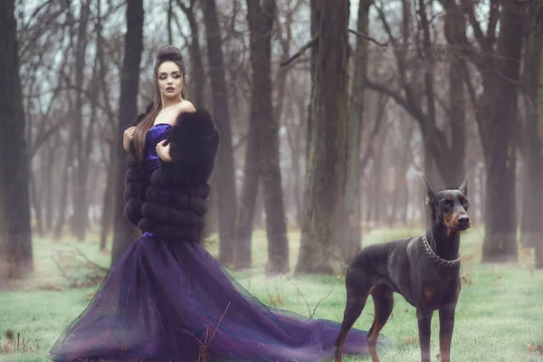 Όμορφη νεαρή glam κυρία φορούσε πολυτελή πούλιες βιολετί φόρεμα βράδυ και γούνινο παλτό που στέκεται στο δάσος με το Ντόμπερμαν σκύλο — Φωτογραφία Αρχείου