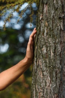 Ağacın gövdesinde bir adam