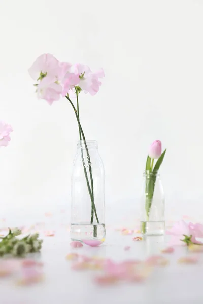 Flores rosas en botellas de vidrio sobre fondo blanco — Foto de Stock