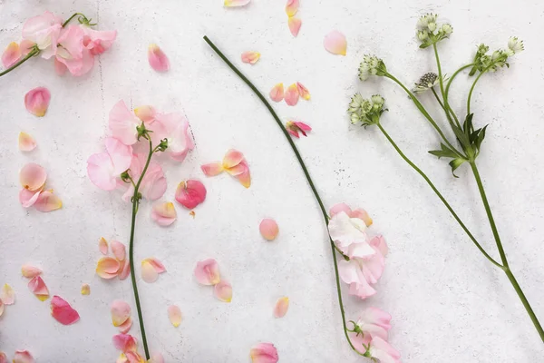 Düz pembe ve taze yeşil çiçek deseni beyaz arka planda yatıyordu.