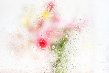 yağmur damlalı ıslak cam ve bulanık çiçekler