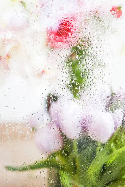 Hermoso ramo de primavera fresca con tulipanes a través del vidrio con gotas de lluvia — Foto de Stock