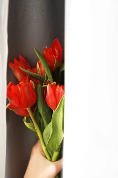 Mano sosteniendo racimo de tulipanes rojos, de cerca . — Foto de Stock