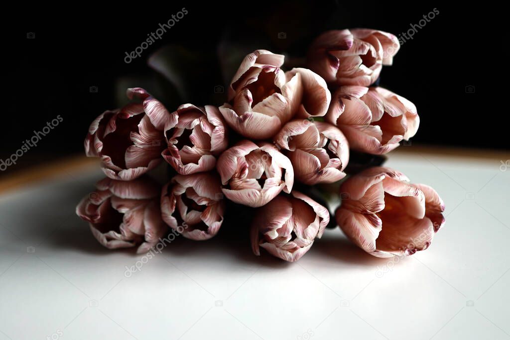 Bunch of tulips in dusty rose color laying on the table