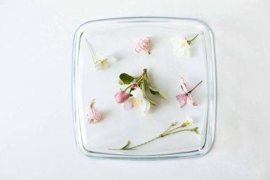 Cam kaplama altında çiçekler