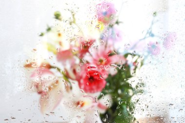 Camın arkasında yağmur damlaları olan çiçekler