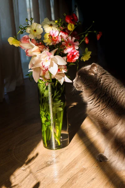 Chat renifle un bouquet de fleurs fraîches de printemps à la maison — Photo