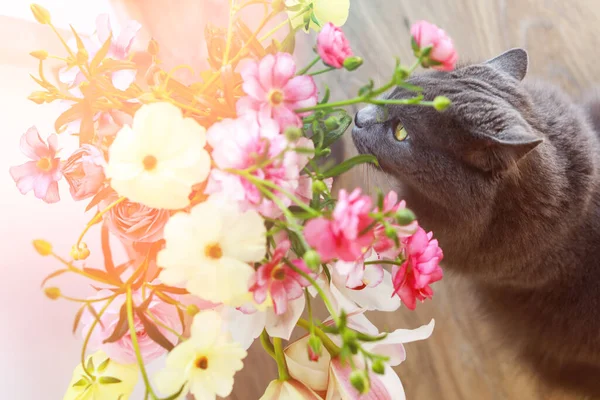 Macska szagolgat egy csokor friss tavaszi virágot otthon — Stock Fotó