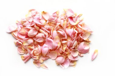 Beyaz izole arkaplanda bir demet pastel gül yaprağı.