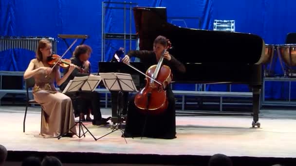 Trio musicale Oberon — Video Stock