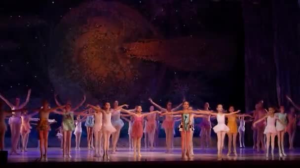 Toon Ballet parels — Stockvideo