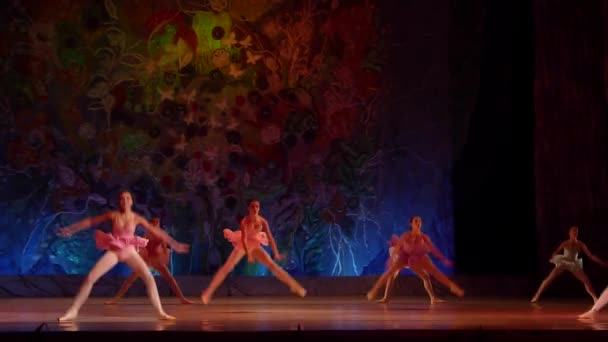 Show Ballet pearls — Stock Video