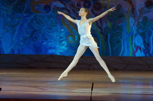 Mostra Balletto da favola — Foto Stock